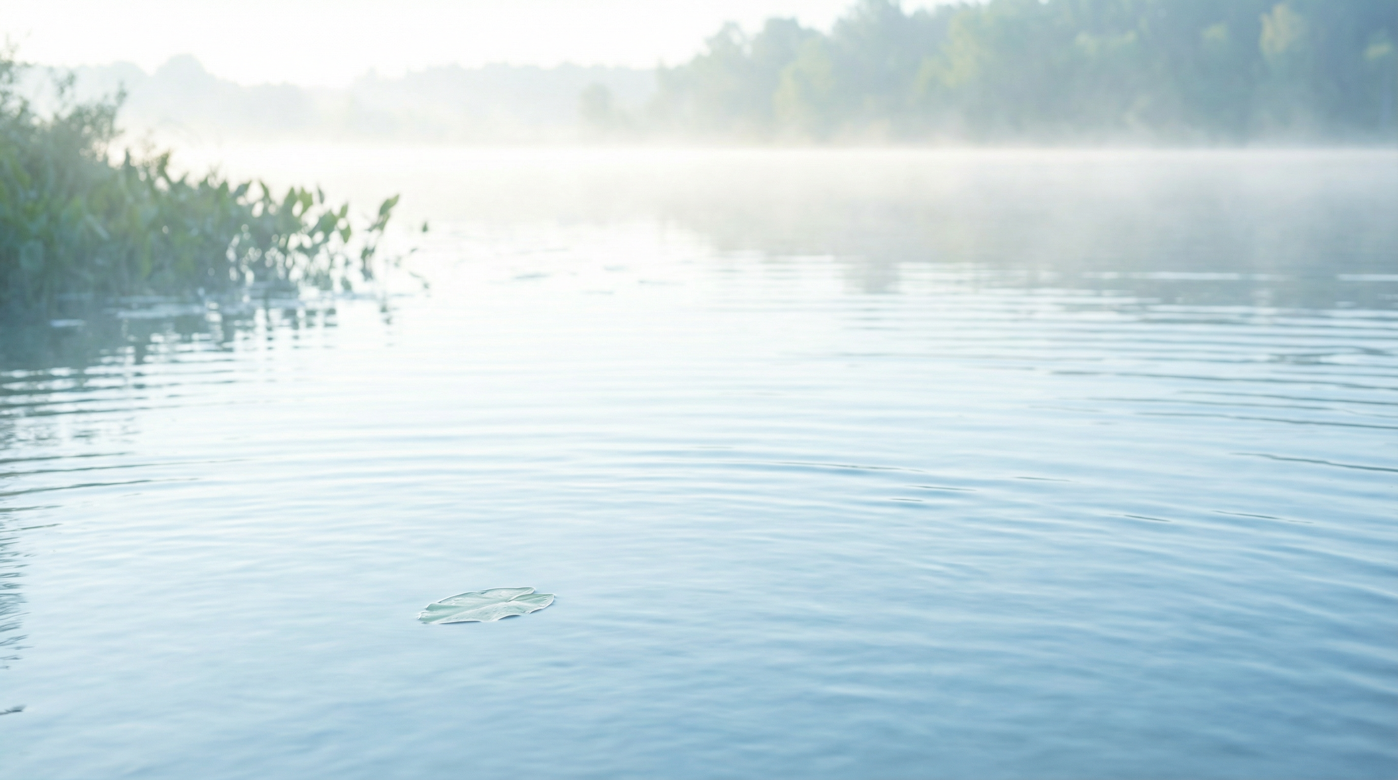 Serene pale blue water representing cooling inflammation